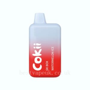 COKII BAR 6K BOX 0mg Disposable Vape Device 6000 Puffs