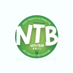 6Mg NTB Mint Nicotine Pouches