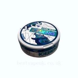 Iceberg 20mg Cool Mint Nicotine Pouches - 20 Pouches