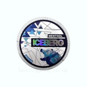 Iceberg 20mg Menthol Nicotine Pouches - 20 Pouches